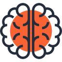 Brain 