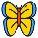 mariposa