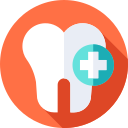 dentista icon