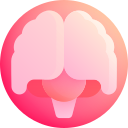 cerebro humano icon