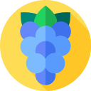 uvas icon