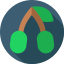 aceituna icon