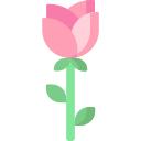 rosa icon