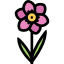 blume 