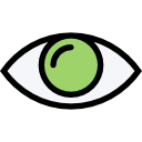 Eye icon