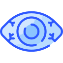 ojo icon