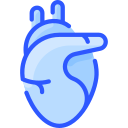 corazón icon