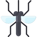 mosquito