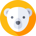 oso polar 