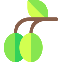 aceitunas icon