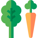 verduras