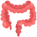 intestino icon