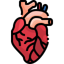 corazón icon