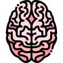 cerebro icon