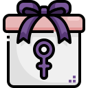 caja de regalo icon