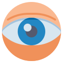 ojo icon