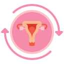 ciclo menstrual 