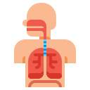 sistema respiratorio 