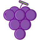 uvas icon