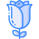 rosa icon