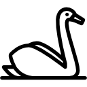 cisne