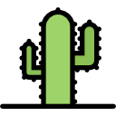 cactus icon