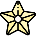 estrella de mar 