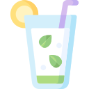 mojito icon