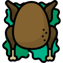 pavo icon