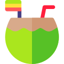 bebida de coco icon