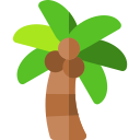 palmera icon