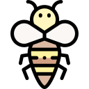 Bee 
