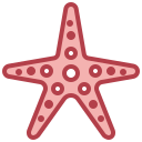 estrella de mar 