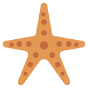 estrella de mar