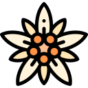 edelweiss icon