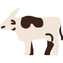 vaca