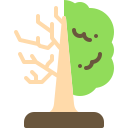 Árbol