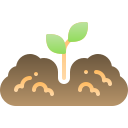 planta arbol icon