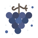 uvas icon