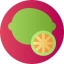 limón icon