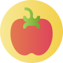 tomate icon