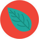 hoja icon