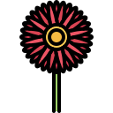 gerbera icon