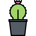 cactus icon