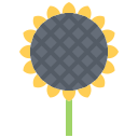 girasol icon