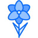 orchidée 