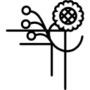 desenho floral de linhas de uma flor e pequenos círculos 