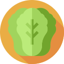 apio icon