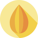 almendra icon