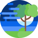 bosque icon